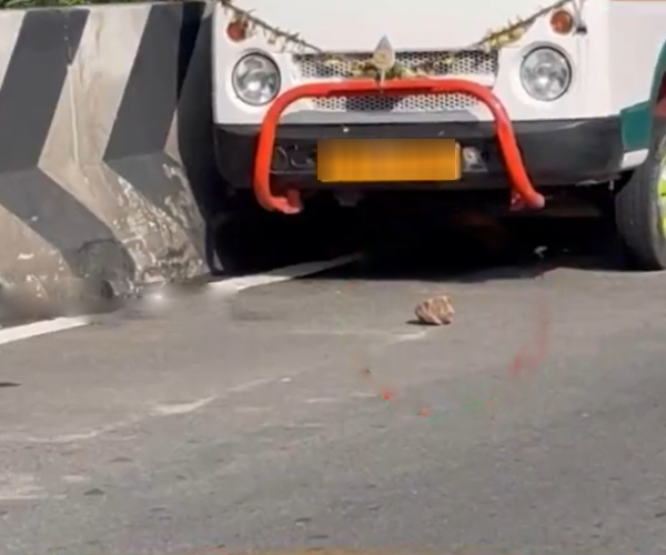 velachery weather cars