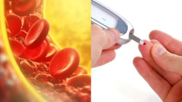 beetroot carrot diabetics sugar patients beetroot carrot diabetics sugar patients