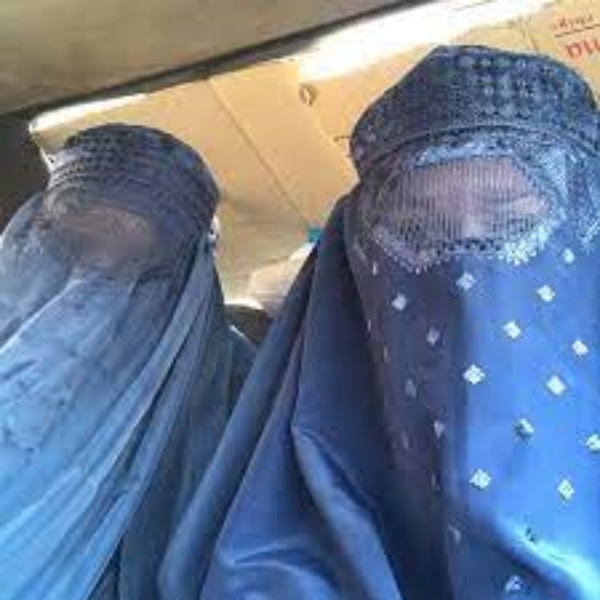 afghanistan taliban living thing television afghanistan taliban living thing television