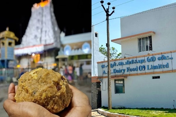 tirupati laddu dindigul ar company ghee madurai hc