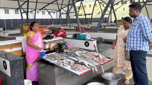 chennai corporation fish