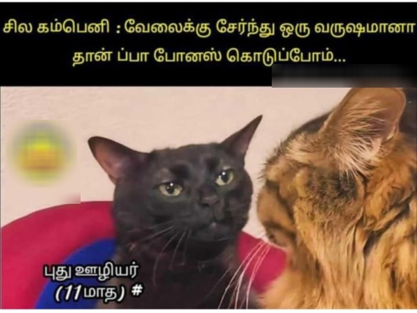 diwali bonus crackers