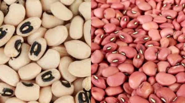 karamani black eyed pea pregnancy stomach cancer karamani black eyed pea pregnancy stomach cancer