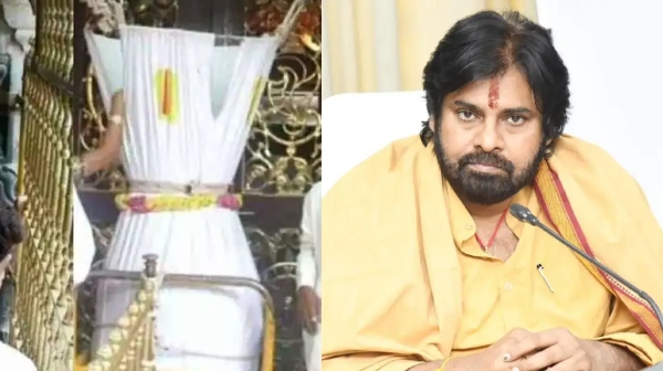 tirupati pawan kalyan laddu