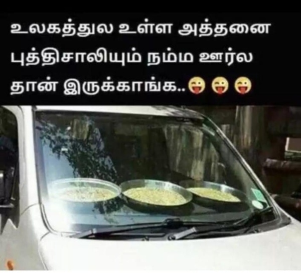 rain cyclone fengal cold