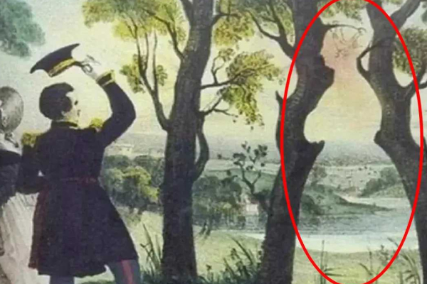 optical illusion offbeat trend