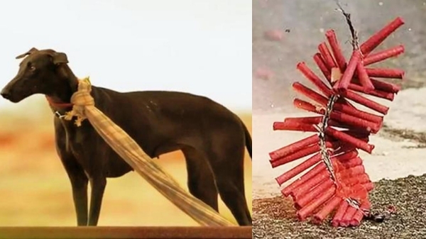 pariyerum perumal mari selvaraj