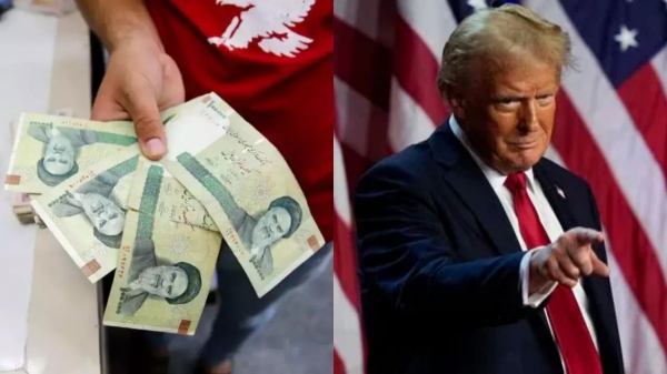us presidential election 2024 donald trump kamala harris 2024