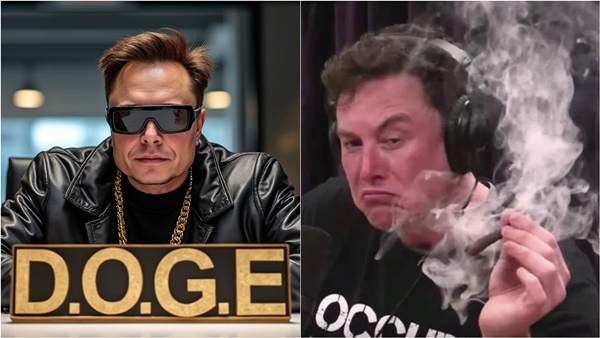 elon musk us donald trump