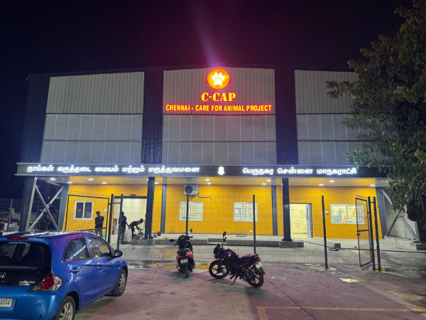 dogs chennai corporation