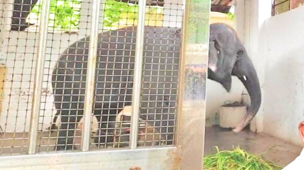 tiruchendur thiruchendur