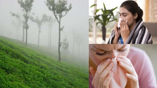 winter season cold health