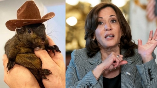 us presidential election 2024 kamala harris donald trump us presidential election 2024 kamala harris donald trump