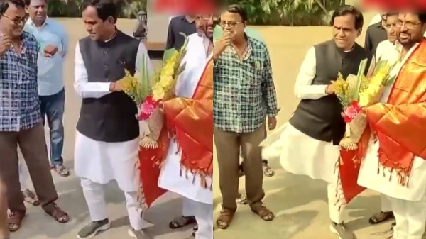 maharashtra assembly election 2024 bjp 2024