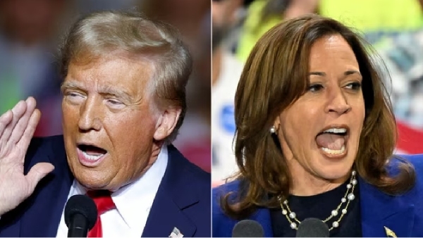 us presidential election 2024 kamala harris donald trump 2024