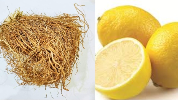 spirituality vetiver roots vetiver pariharam