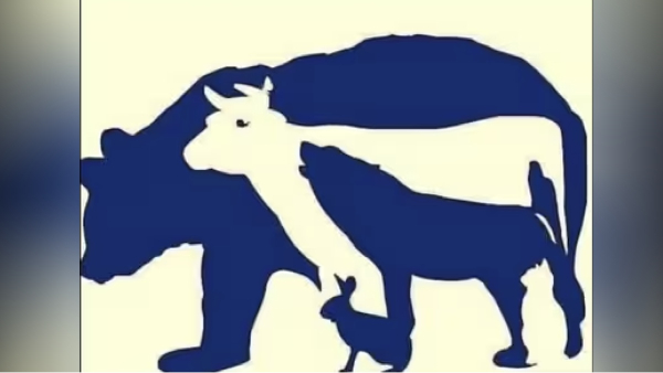 optical illusion offbeat trend