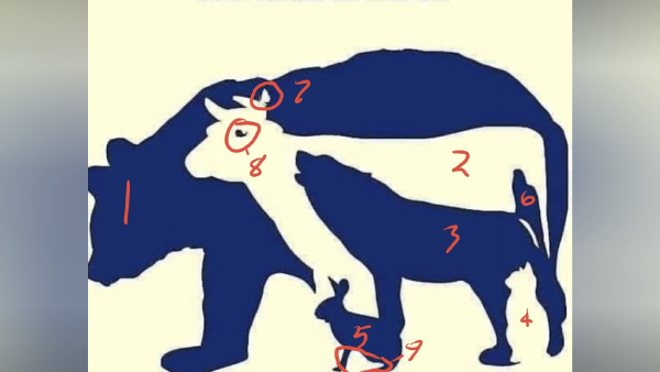 optical illusion offbeat trend