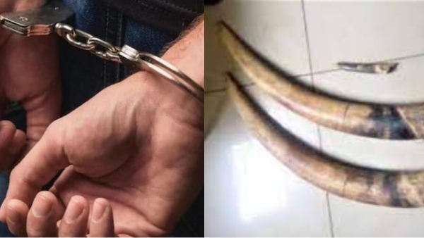 bjp crime
