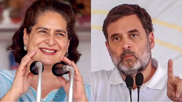 election results 2024 wayanad by election results priyanka gandhi