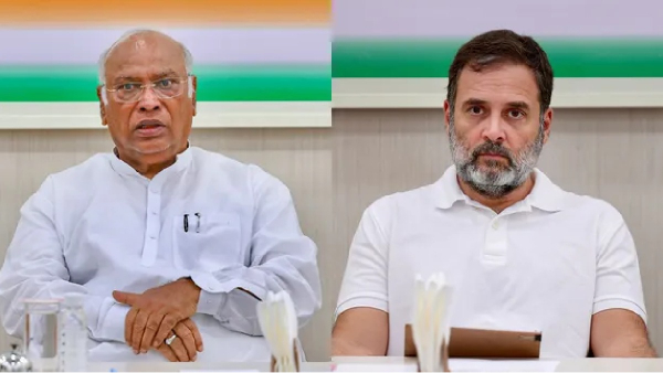 constitution day rahul gandhi constitution day rahul gandhi