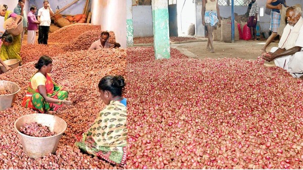 farmers onion farmers onion