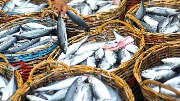 fish potato sea foods