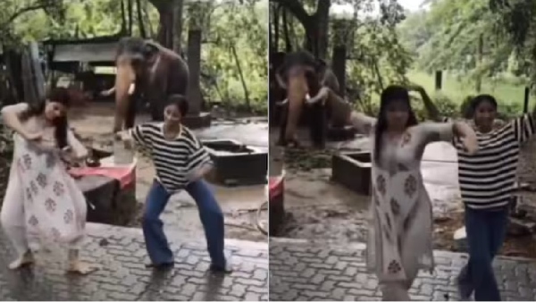 bharatanatyam kerala elephant