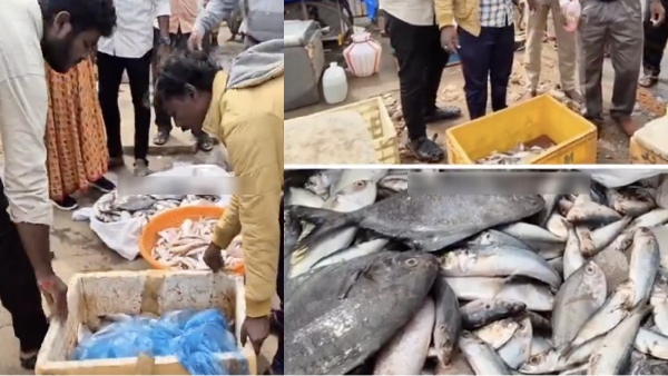 cyclone fengal cuddalore fish