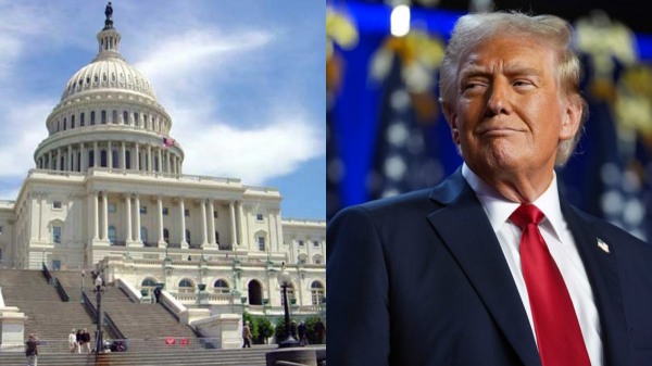 us presidential election 2024 donald trump kamala harris 2024