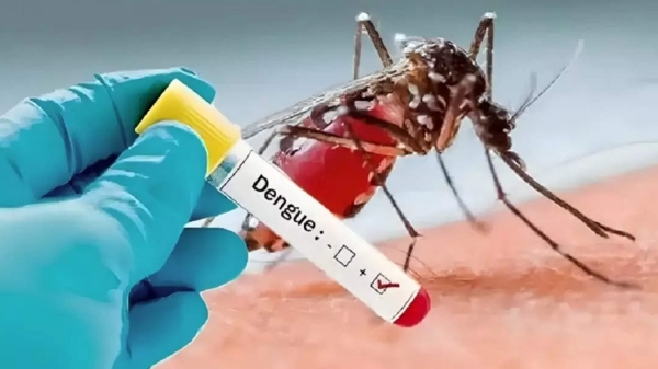 tamil nadu dengue