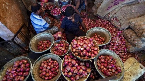 onion chennai business