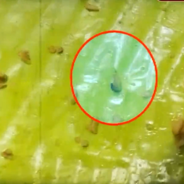chennai food