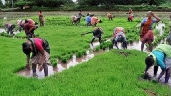 tn govt notification vellore farmers