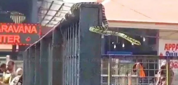 spirtuality health sabarimala