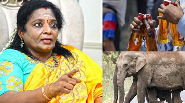 thenkasi tamilisai soundararajan thenkasi tamilisai soundararajan