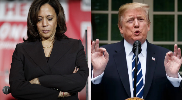 US Presidential Election 2024 EXIT POLLS Polymarket predicts clean sweep win for Donald Trump Over Kamala Harris
