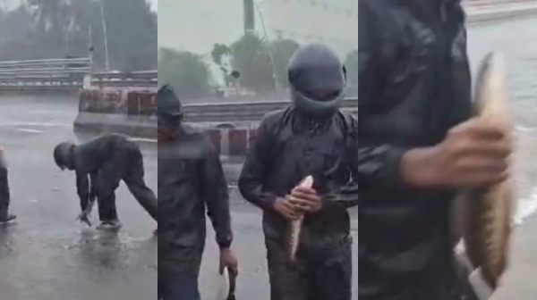 cyclone fengal weather chennai rains