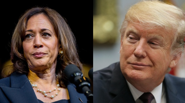 us presidential election 2024 kamala harris donald trump 2024