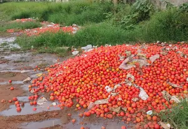 dindigul tomato ottanchathiram