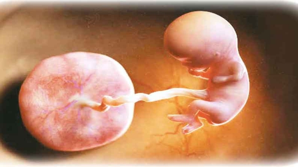 umbilical cord thopul kodi umbilical cord thopul kodi