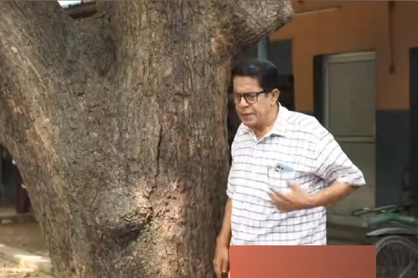 television siragadikka aasai serial vijay tv