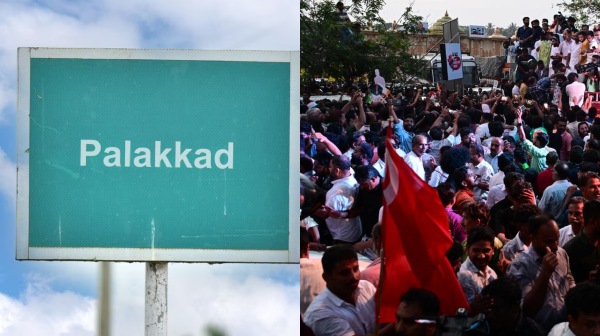 palakkad by election result 2024 kerala 2024