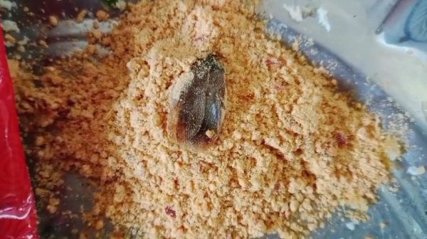 dindigul food safety dept cockroach