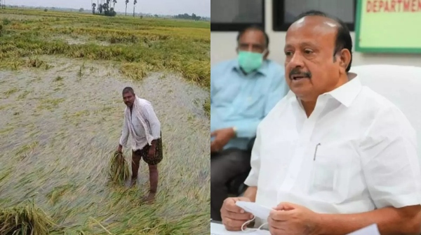 tamil nadu rains farmers mrk panneerselvam tamil nadu rains farmers mrk panneerselvam