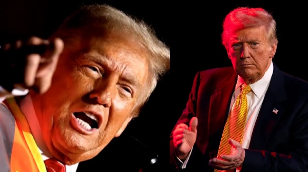 us presidential election 2024 kamala harris donald trump 2024