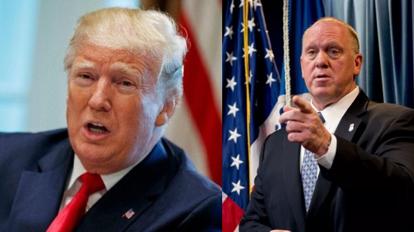 us presidential election 2024 kamala harris donald trump 2024