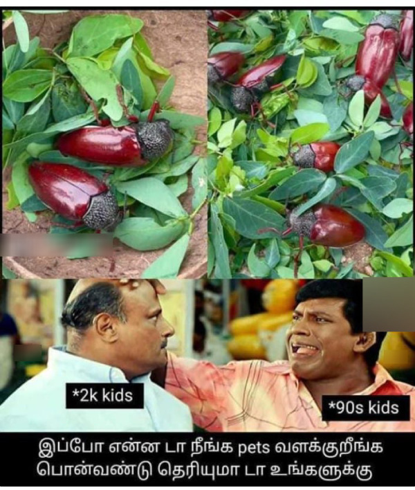 90s kids marriage 90