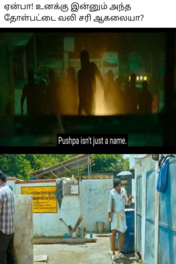pushpa pushpa 2 kanguva cinema memes 2