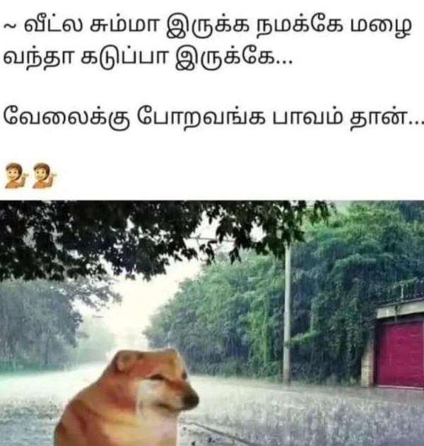 december rain cyclone chennai flood year ender 2024 new year 2025
